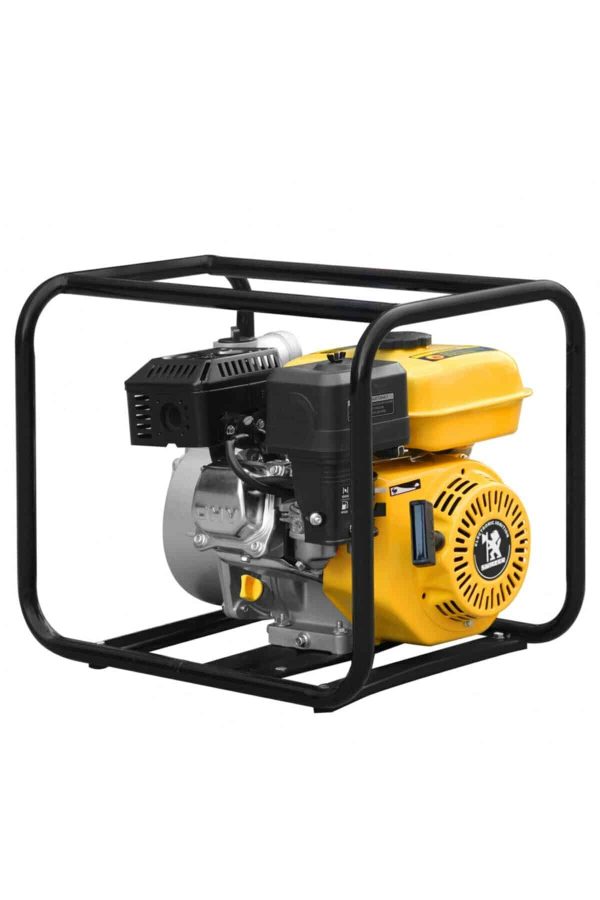 Swazer 4 Zamanlı Benzinli Su Motoru 2 inc 6 Hp 130cc - Görsel 5