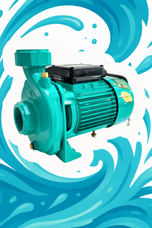 SCM80 Yüksek Verimli Elektrikli Su Pompası – 1.5 kW | 2 Hp | IP44 | CE Belgeli - Görsel 5